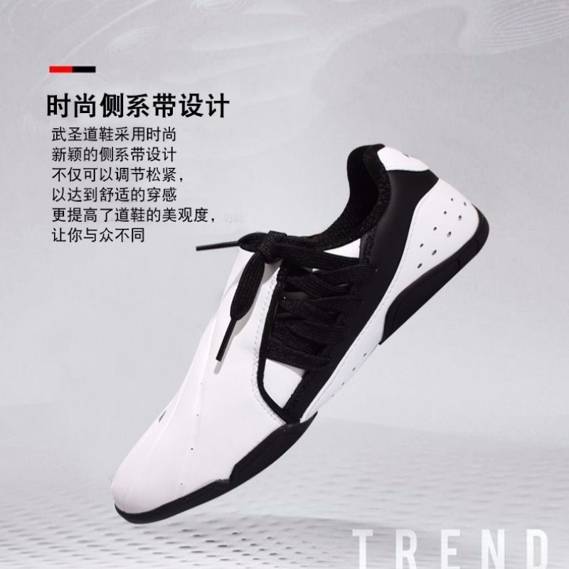 Zapatos profesionales de artes - Women'S Shoes Vs Men'S reseña y precio